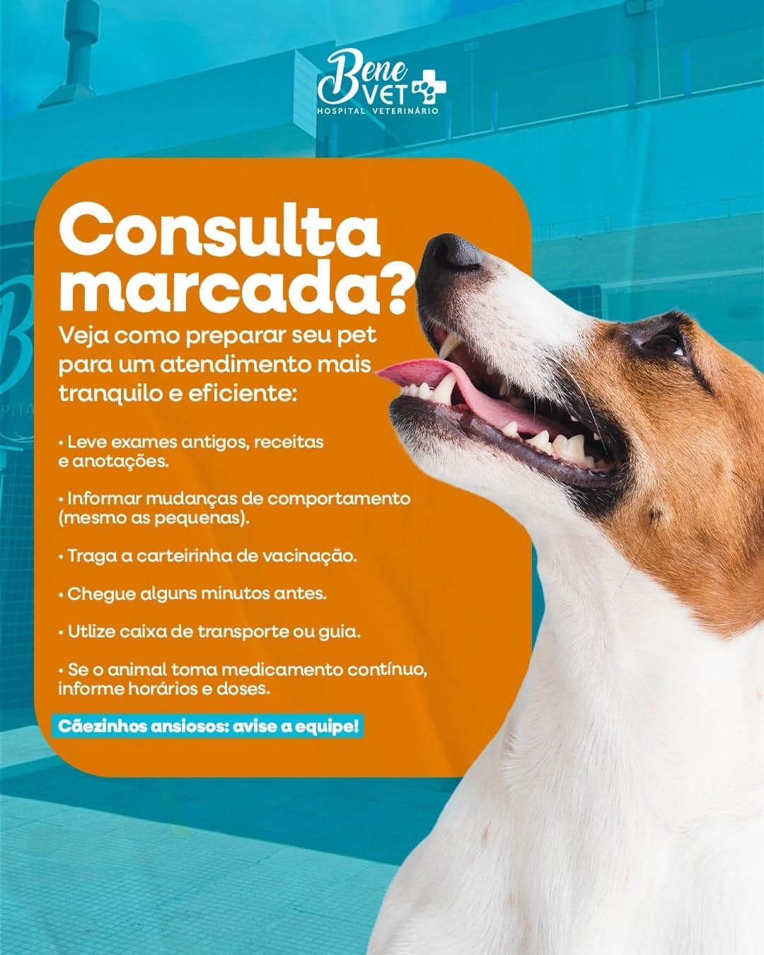 Hospital Veterinário