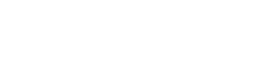 Zanini